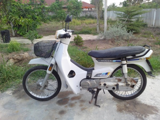 ขายดรีมคุรุ สีขาวโช็คขาวเดิมๆ ทะเบียนโอน