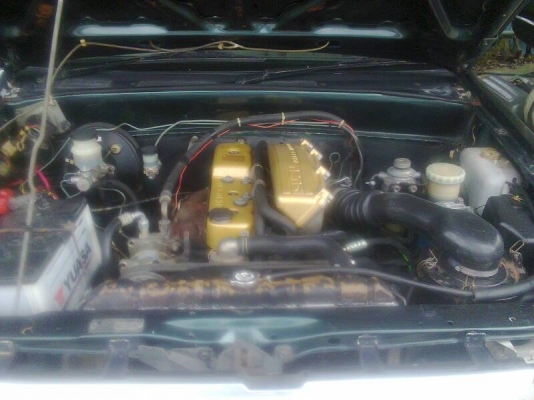 ขายครับ ตัดได้