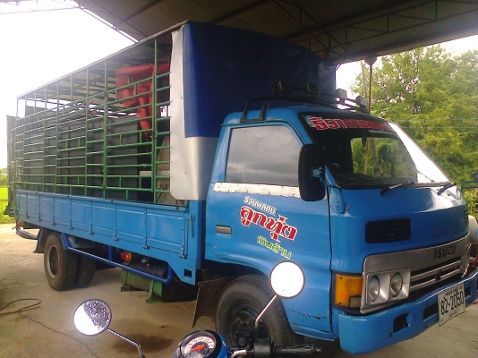 หกล้อ อีซูซุ KS-32 เครือง4BD1ฝาดำ115แรง หัวเก๋งดียกได้ ช่วงยาว5เมตร สภาพพร้อมใช้งาน เอกสารทะเบียนพร้อมโอน 249,000บ ต่อรอง