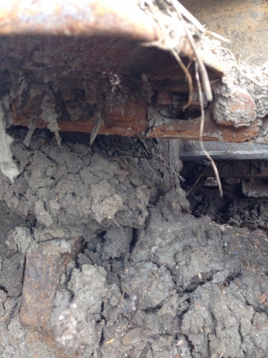 ขาย มิสซูแคท BD2Gf ขาย มิสซูแคท BD2Gf