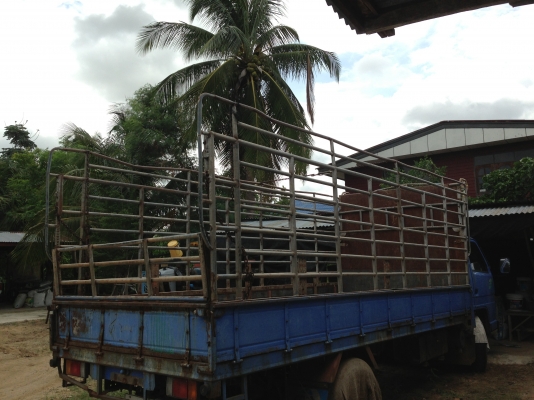 ขายกระบะ115