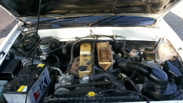 ขายมังกรทองปี91