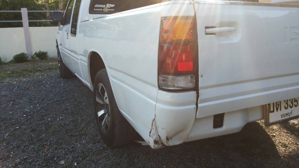 ขายมังกรทองปี91