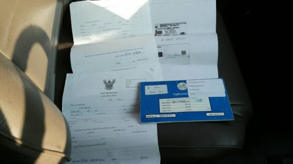 ขายมังกรทองปี91