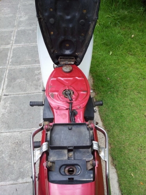 ขายดรีมตูดเป็ดสตาร์มือ