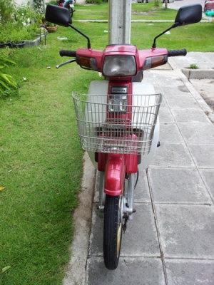 ขายดรีมตูดเป็ดสตาร์มือ