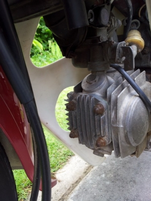 ขายดรีมตูดเป็ดสตาร์มือ