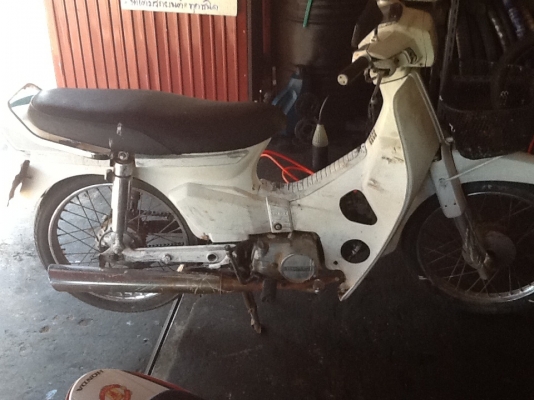 Dream  100ตัวแรก