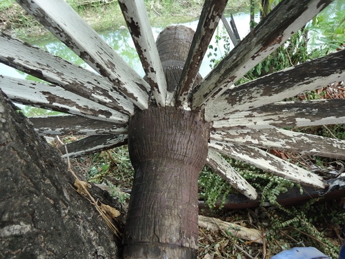 ขายล้อเกวียน 2 วง ขายล้อเกวียน 2 วง