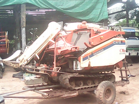 ขายรถเกี่ยวข้าว YANMAR CA-11
