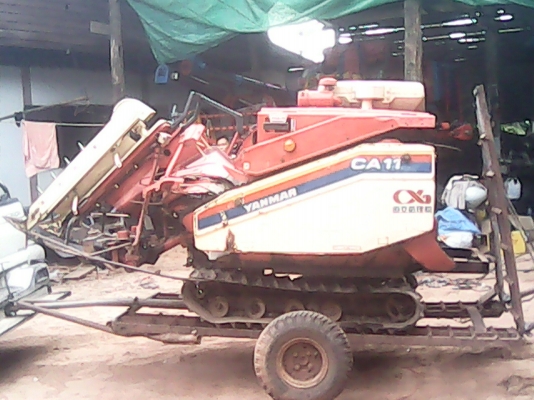 ขายรถเกี่ยวข้าว YANMAR CA-11