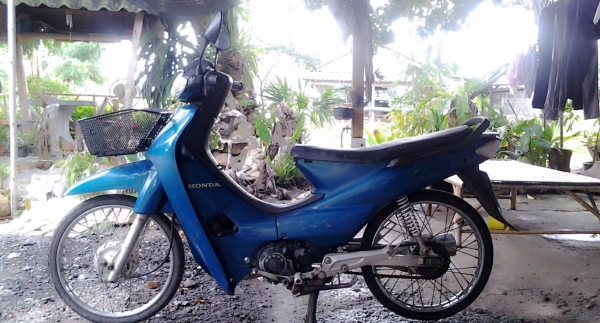 ขายเวฟ 100 มีเล่ม หรือแยกโคลงได้