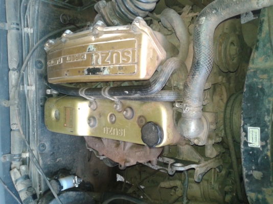 ขายมังกรทองราคาถูกตามสภาพ