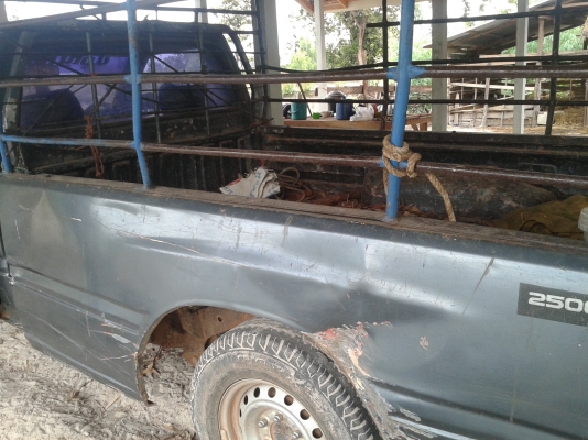 ขายมังกรทองราคาถูกตามสภาพ