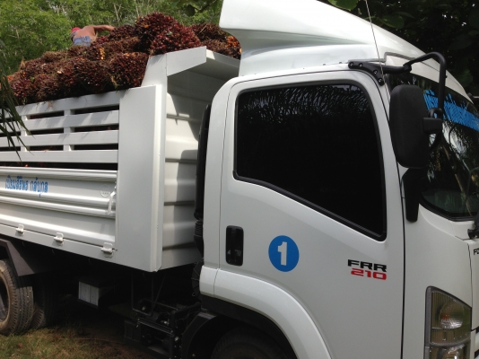 ขายดาวน์รถหกล้อดั๊มพ์ Isuzu FRR210