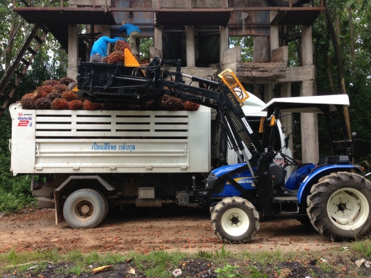 ขายดาวน์รถหกล้อดั๊มพ์ Isuzu FRR210