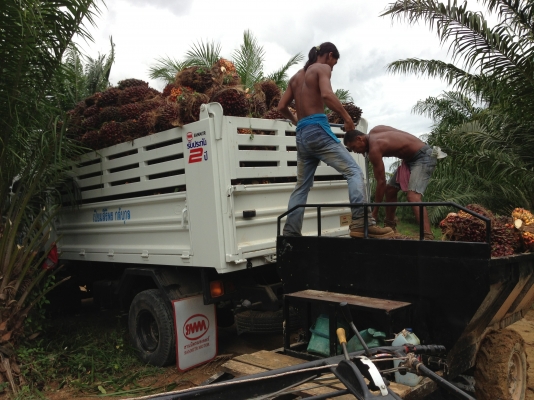 ขายดาวน์รถหกล้อดั๊มพ์ Isuzu FRR210