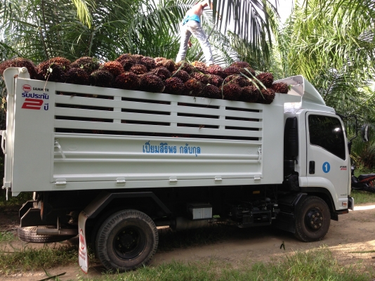 ขายดาวน์รถหกล้อดั๊มพ์ Isuzu FRR210