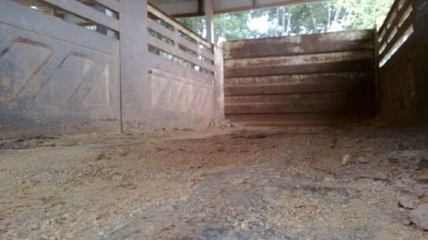 รถอีซูซุ 10 ล้อดั้ม FXZ เปลื่ยนเครื่อง 270 แรงม้า. ปี 39. ( นางฟ้าแท้. ) สนใจติดต่อ 081 - 6079515 รถอีซูซุ 10 ล้อดั้ม FXZ เปลื่ยนเครื่อง 270 แรงม้า. ปี 39. ( นางฟ้าแท้. ) สนใจติดต่อ 081 - 6079515