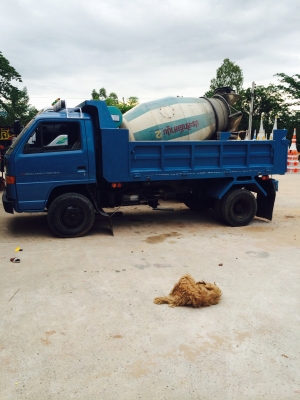 อีซูซุดั้ม 115 ปี 36 เดิมๆภาษีเต็ม ดั้มใหม่ กระบะยาว 3.90 ยางใหม่6 เส้น อีซูซุดั้ม 115 ปี 36 เดิมๆภาษีเต็ม ดั้มใหม่ กระบะยาว 3.90 ยางใหม่6 เส้น