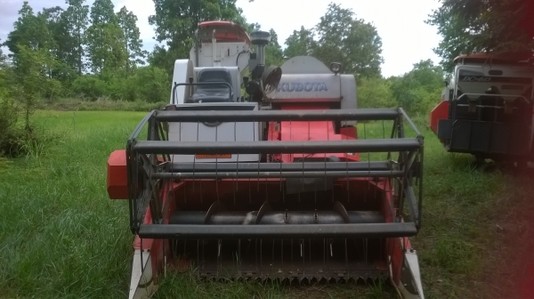 ขายรถเกี่ยวข้าว kubota dc60 plus ตัวสุดท้ายพร้อมเล่มทะเบียนครับ