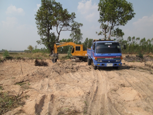 ขายดาวส์