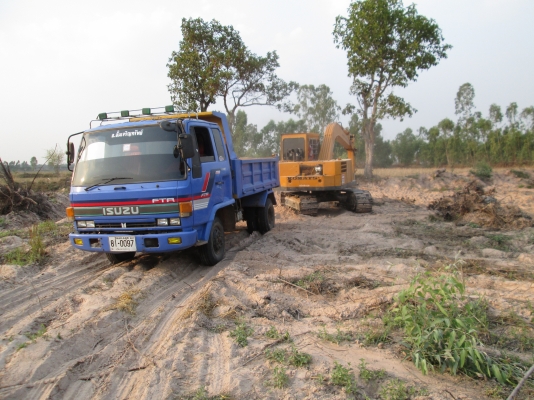 ขายดาวส์