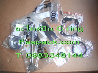 อะไหล่ ปืนยิงตะปู อะไหล่ ปืนยิงไม้พาเลท อะไหล่ เครื่องยิงตะปูม้วน อะไหล่เครื่องยิงลวด ปืนยิงลวด T. 0983348144 อะไหล่ ปืนยิงตะปู อะไหล่ ปืนยิงไม้พาเลท อะไหล่ เครื่องยิงตะปูม้วน อะไหล่เครื่องยิงลวด ปืนยิงลวด T. 0983348144