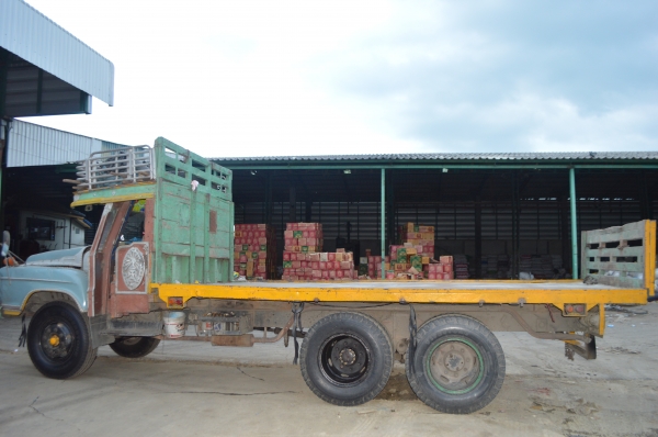 สิบล้อหน้ายาวพื้นเรียบ เครื่อง 6BB เกียร์ HO 2 คันๆละ 270000