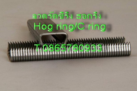 ปืนลมยิง กรงไก่ไข่ ปืนยิงกรงตับไก่ ปืนยิงกรงไก่ ปืนยิงรัดกรงตับไก่ไข่ มีอะไหล่ทุกชิ้น ราคาถูก T.0983348144/0865760933 ปืนลมยิง กรงไก่ไข่ ปืนยิงกรงตับไก่ ปืนยิงกรงไก่ ปืนยิงรัดกรงตับไก่ไข่ มีอะไหล่ทุกชิ้น ราคาถูก T.0983348144/0865760933