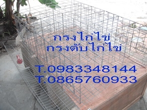 ปืนลมยิง กรงไก่ไข่ ปืนยิงกรงตับไก่ ปืนยิงกรงไก่ ปืนยิงรัดกรงตับไก่ไข่ มีอะไหล่ทุกชิ้น ราคาถูก T.0983348144/0865760933 ปืนลมยิง กรงไก่ไข่ ปืนยิงกรงตับไก่ ปืนยิงกรงไก่ ปืนยิงรัดกรงตับไก่ไข่ มีอะไหล่ทุกชิ้น ราคาถูก T.0983348144/0865760933