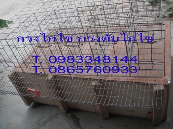 ปืนลมยิง กรงไก่ไข่ ปืนยิงกรงตับไก่ ปืนยิงกรงไก่ ปืนยิงรัดกรงตับไก่ไข่ มีอะไหล่ทุกชิ้น ราคาถูก T.0983348144/0865760933 ปืนลมยิง กรงไก่ไข่ ปืนยิงกรงตับไก่ ปืนยิงกรงไก่ ปืนยิงรัดกรงตับไก่ไข่ มีอะไหล่ทุกชิ้น ราคาถูก T.0983348144/0865760933