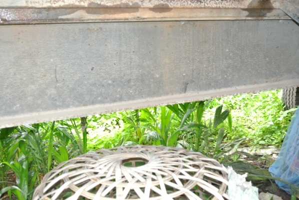 หางดั้มสองเพลา  ราคาขายด่วน 310,000 บาท