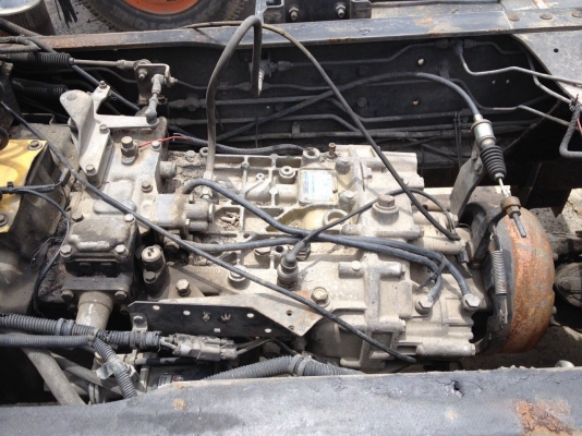 ขายหัวลาก270ตัวแรก