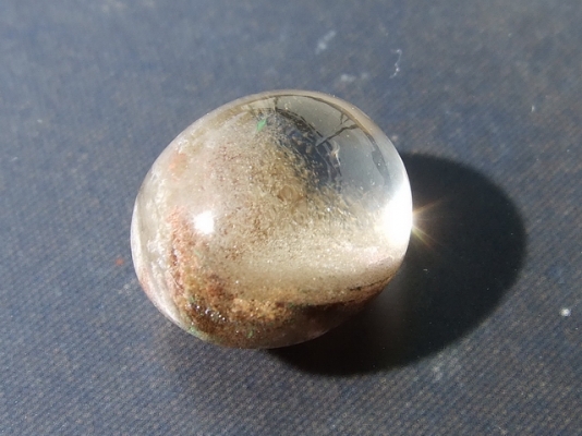 ฟอสซิลหอย