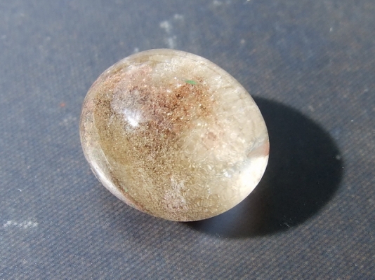 ฟอสซิลหอย