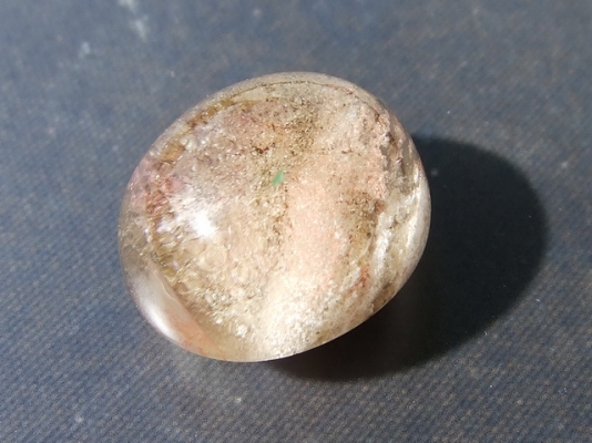 ฟอสซิลหอย