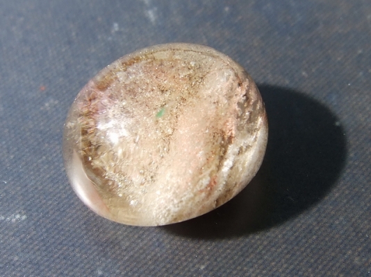 ฟอสซิลหอย