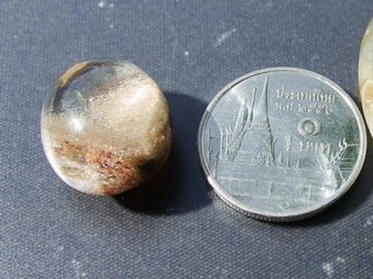 ฟอสซิลหอย