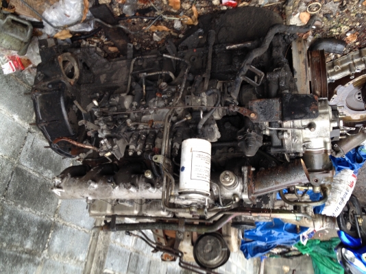 NF6ตามสภาพ 320 โบดี ข้อSTD