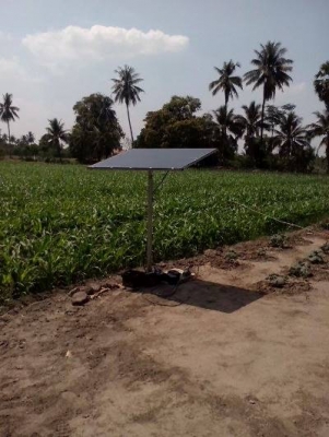 ขายโซล่่าเซลลถูกมากๆ ขายโซล่่าเซลลถูกมากๆ