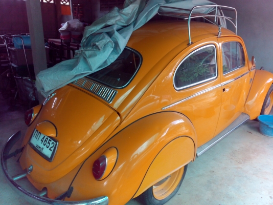 -------เต่า 64 สวยๆ--------- -------เต่า 64 สวยๆ---------