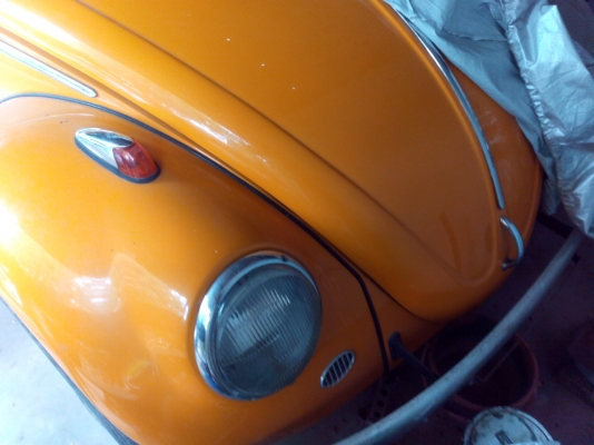 -------เต่า 64 สวยๆ---------