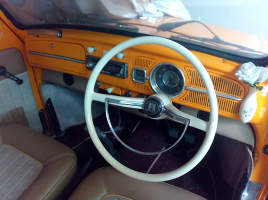 -------เต่า 64 สวยๆ--------- -------เต่า 64 สวยๆ---------