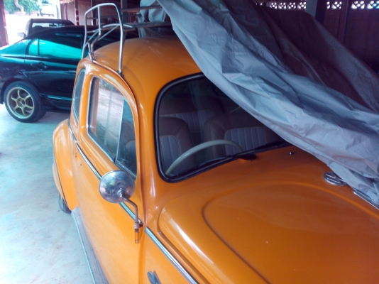 -------เต่า 64 สวยๆ--------- -------เต่า 64 สวยๆ---------