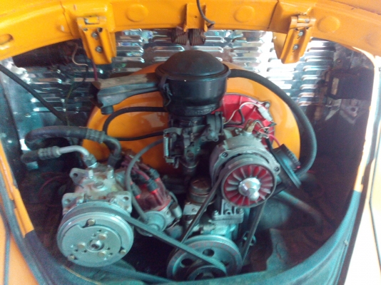 -------เต่า 64 สวยๆ--------- -------เต่า 64 สวยๆ---------