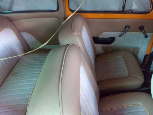 -------เต่า 64 สวยๆ--------- -------เต่า 64 สวยๆ---------