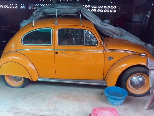 -------เต่า 64 สวยๆ--------- -------เต่า 64 สวยๆ---------