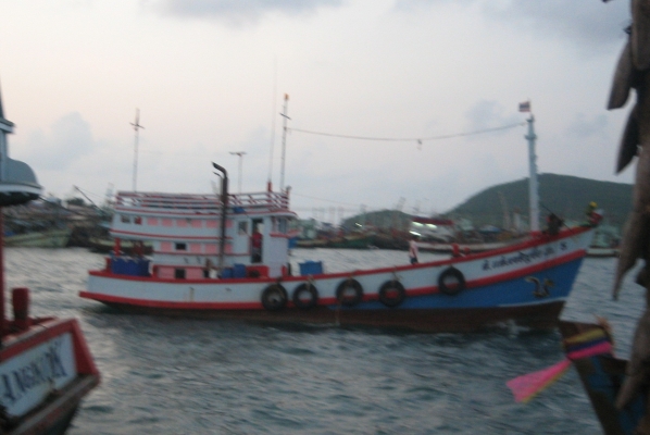 ขายเรือประมงลากคู่(เจ้าของขายเอง) ขายเรือประมงลากคู่(เจ้าของขายเอง)