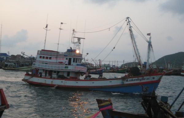ขายเรือประมงลากคู่(เจ้าของขายเอง) ขายเรือประมงลากคู่(เจ้าของขายเอง)